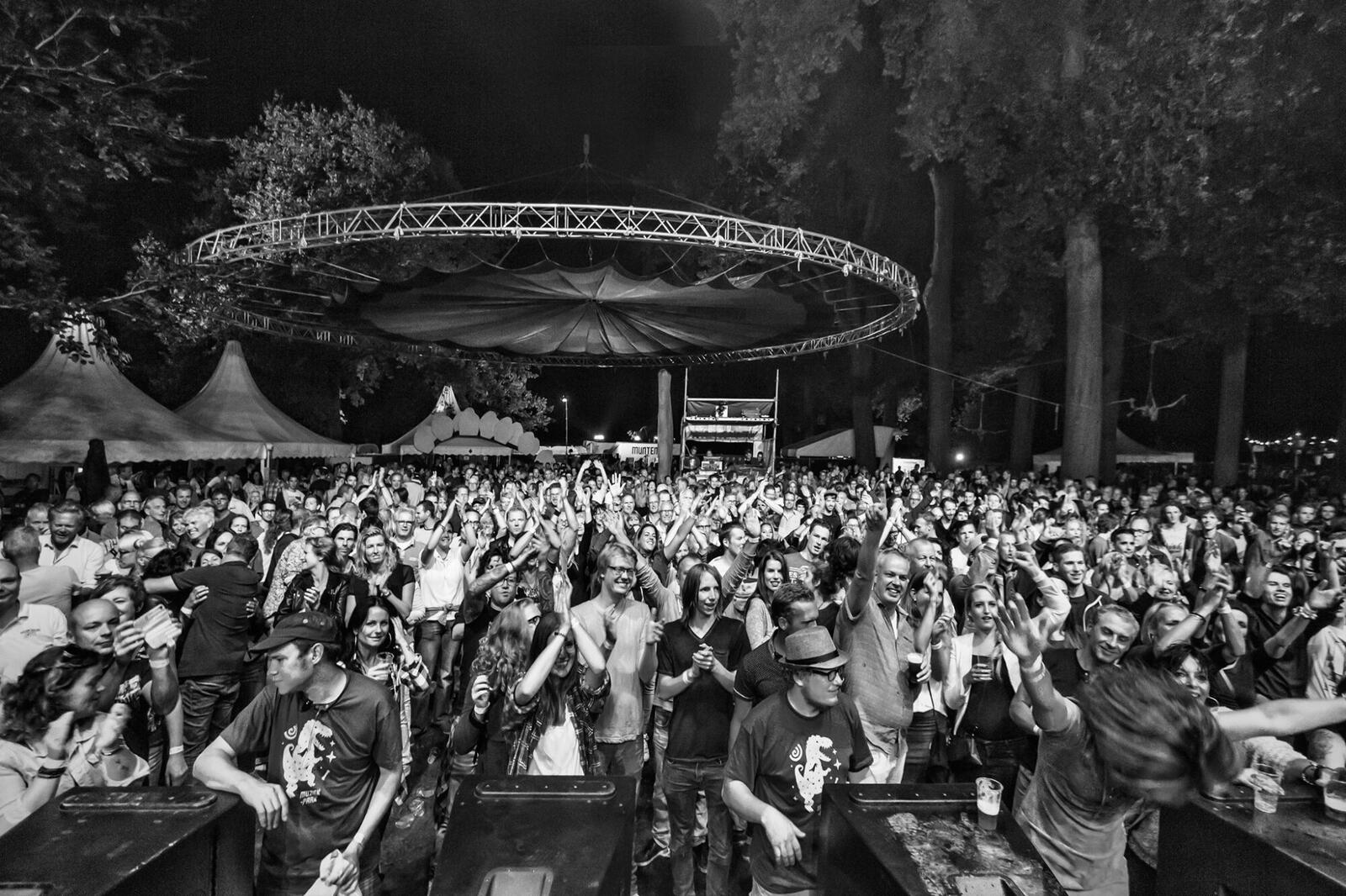 Festivalhuisstijl voor Muziekpark